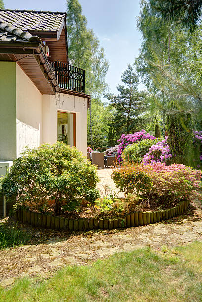 istock Flower bed in rear garden 590278758