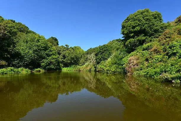 Wide angle image of a forest reservoir which holds Carp for fishing in the Summer.