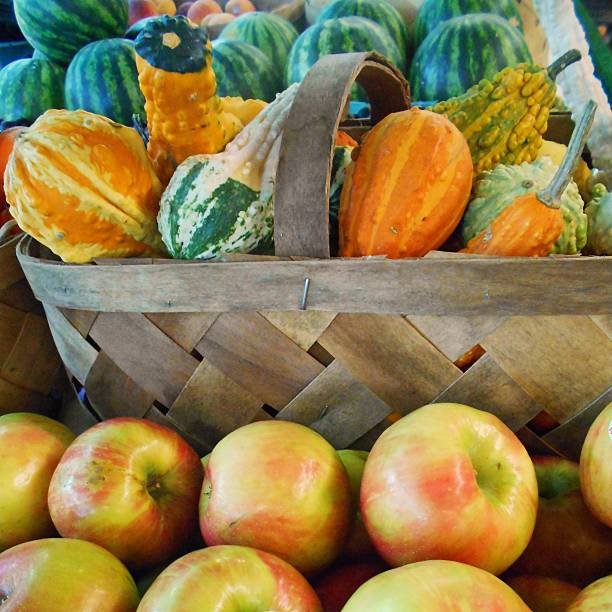 istock basket of ornamental gourds 590280964