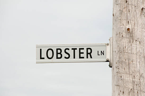 istock Lobster Lane - Peggys Cove - Nova Scotia 590284802