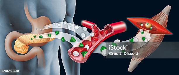Insulin Stock Photo - Download Image Now - Insulin, Glucose, Blood