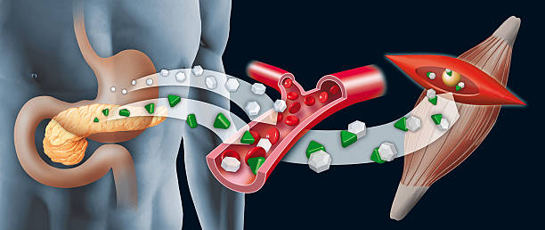 de insulina - insulin imagens e fotografias de stock