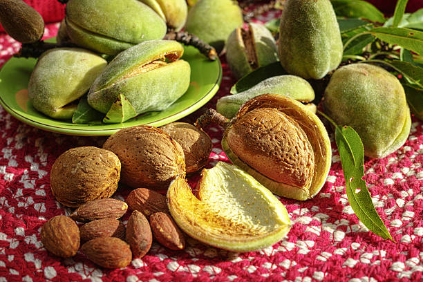 istock Fresh ripe unpeeled almonds with nutshell and leaves 590285388