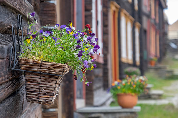 Flower decoration stock photo