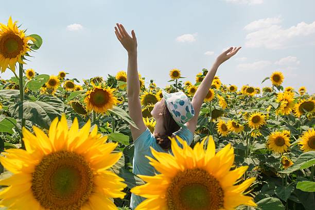 istock Young woman in sunflower field 590291218