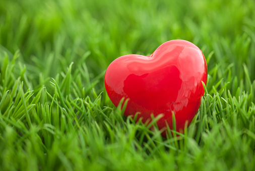 Small red heart on the grass 