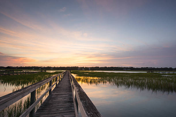 boardwalk on the marsh boardwalk on the marsh in Pawleys Island, South Carolina at sunset tidal inlet stock pictures, royalty-free photos & images