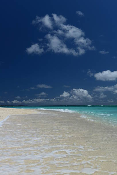istock Beautiful beach in Okinawa 590292670
