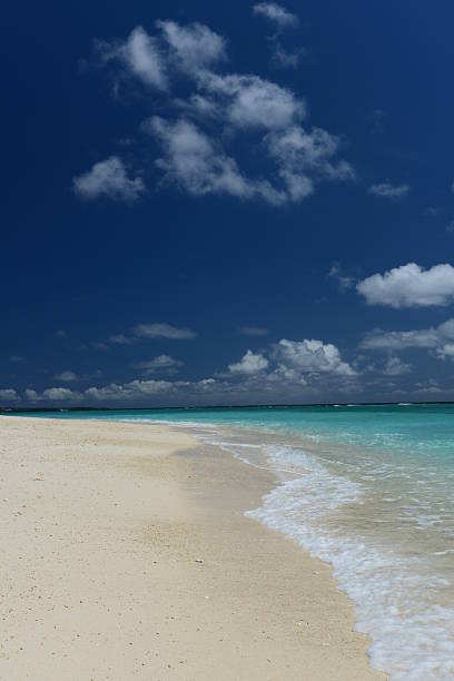 istock Beautiful beach in Okinawa 590292756