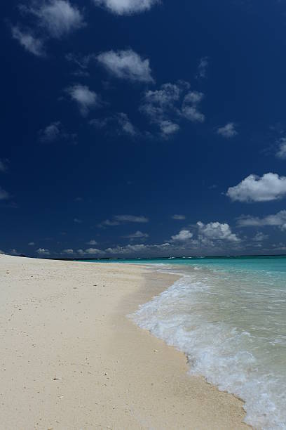 istock Beautiful beach in Okinawa 590292988