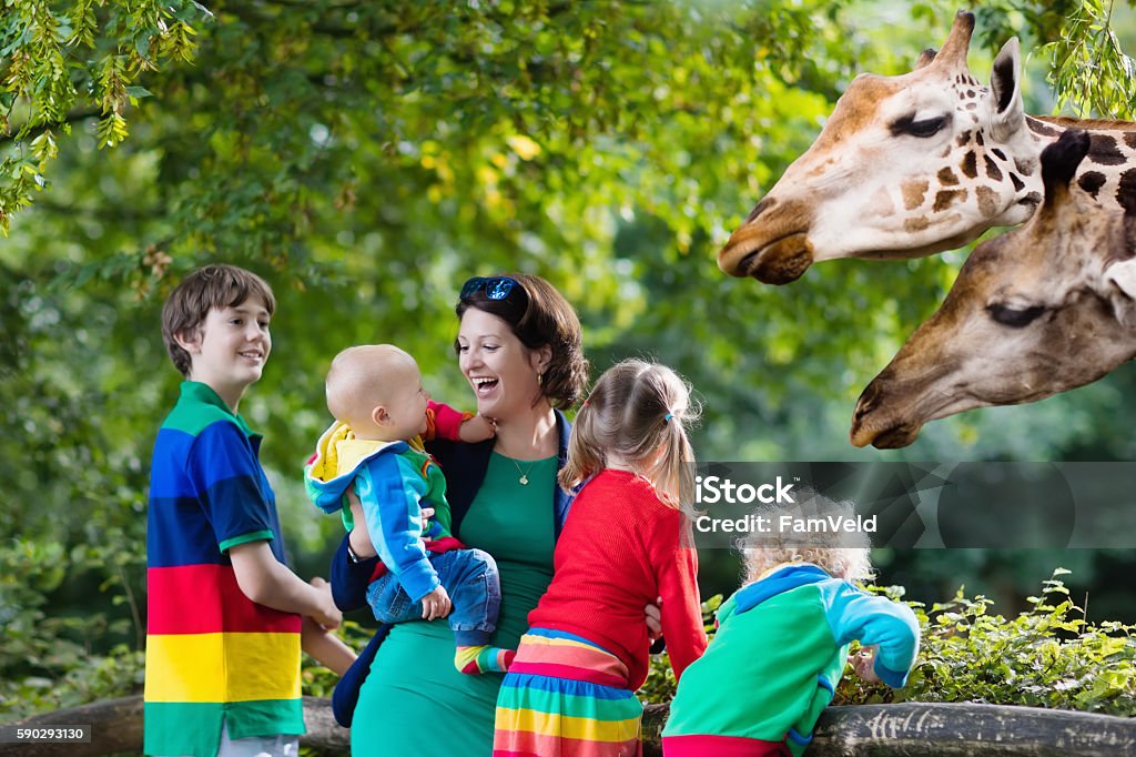 Mother and kids feeding giraffe at the zoo Mother and children, school student, little toddler boy, preschool girl and baby watching and feeding giraffe animals at the zoo. Wildlife experience for parents and kids at animal safari park. Zoo Stock Photo
