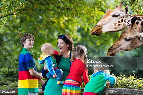 Mother And Kids Feeding Giraffe At The Zoo Stock Photo - Download Image Now - Zoo, Family, Child