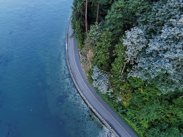 istock Stanley Park Seawall Against the Blue Ocean 590294814