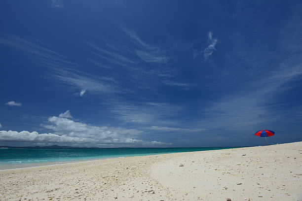 istock Beautiful beach in Okinawa 590296940