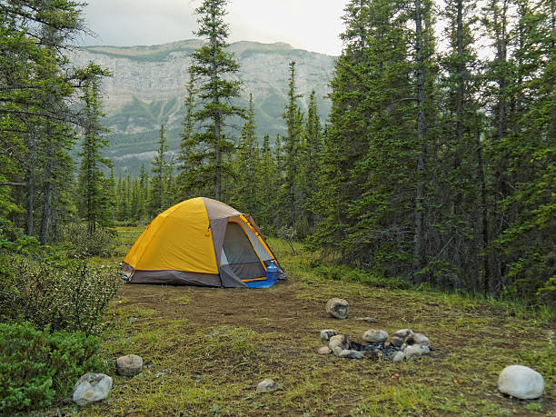 A yellow tent deep in the forest with the Rocky Mountains in the background, Jasper National Park, Alberta, Canada
