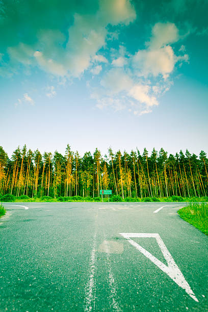 istock Landscape in Poland asphalt road and forest 590298632