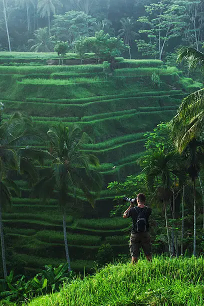 photographer takes photo at rice fields of Bali at sunrise