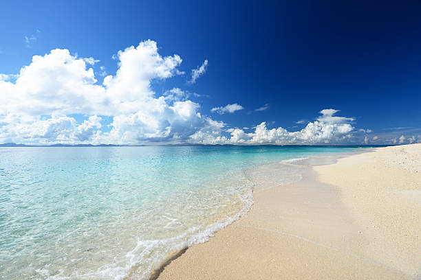 istock Beautiful beach in Okinawa 590300910