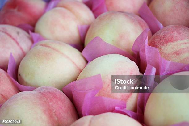 Peach Production In South Korea-foton och fler bilder på Antioxidant - Antioxidant, Bakgrund, Banta