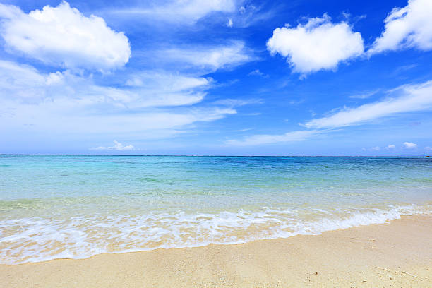 istock Beautiful beach in Okinawa 590305316