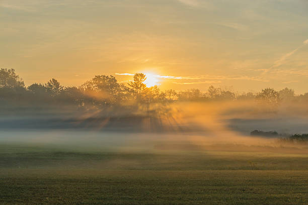 istock Sunrise Casting Shadows In The Fog 590579494