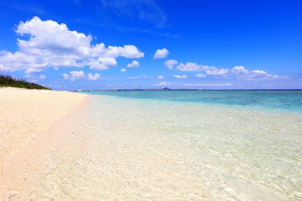 istock Beautiful beach in Okinawa 590579824