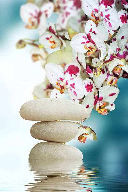 istock meditation with candle,bamboo and zen stones 590582574