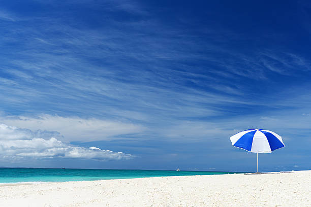 istock Beautiful beach in Okinawa 590583326