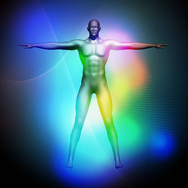 istock human body and vital sign, 3D illustration, abstract image visual 590584742