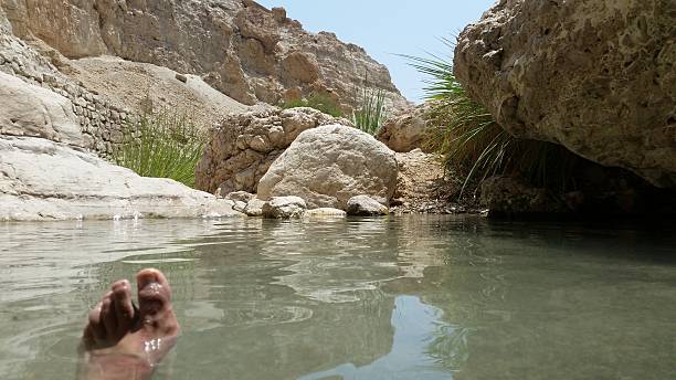 istock oasis of Ein Gedi in Israel 590587772