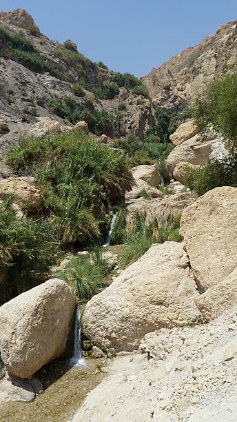 istock oasis of Ein Gedi in Israel 590587784