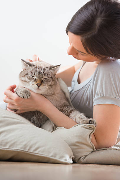 istock Attractive woman and her cat relaxing on pillows 590590742