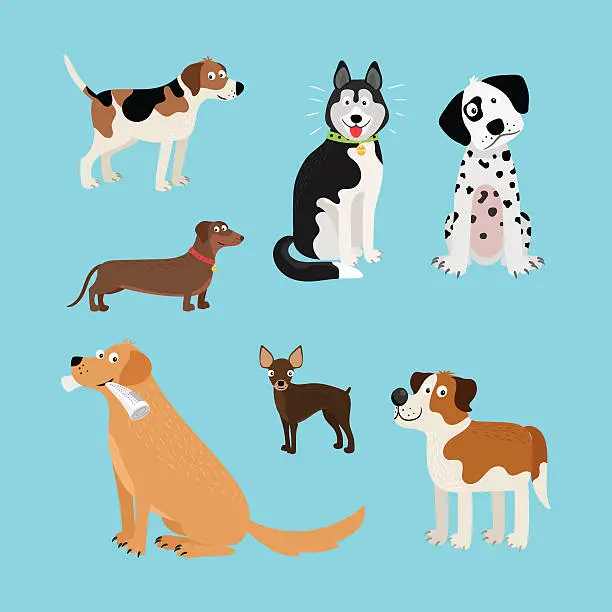 Vector illustration of Vector cartoon happy dogs set