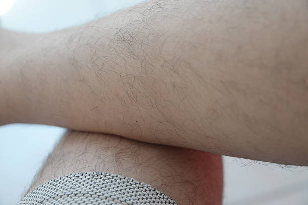 istock One mans hairy leg isolated on white background 590594338