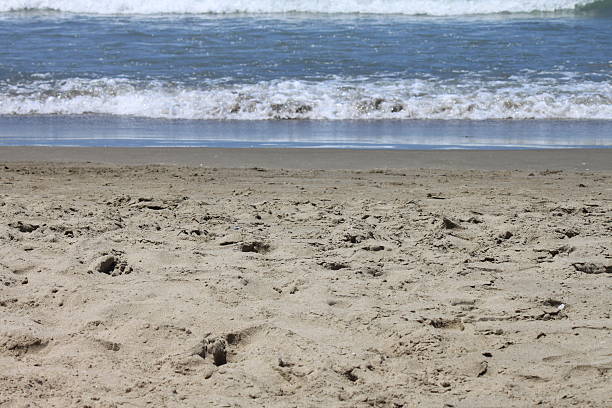 istock beautiful seascape with fresh cold water in summer, selective focus 590594832