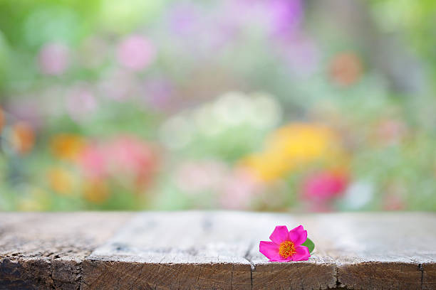 istock Flower on wooden table 590595174
