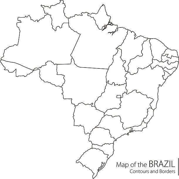 윤곽 브라질 지도 - santos stock illustrations