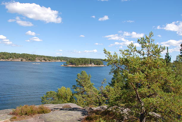 istock Stockholm archipelago in summer 590603922