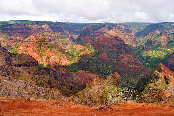 istock Stunning view into Waimea Canyon, Kauai 590606354