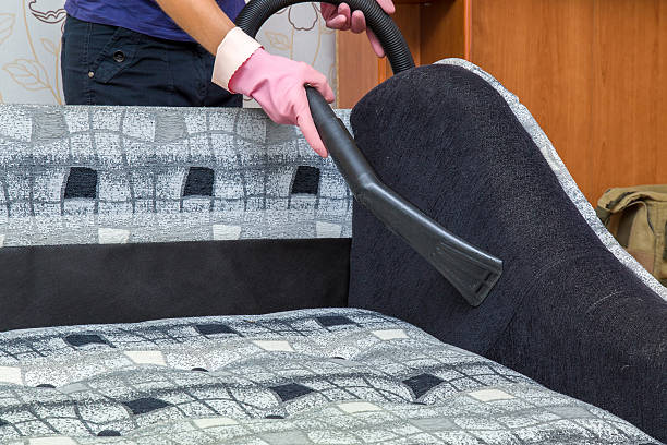 istock Professionally nozzle making free dirty sofa from dust Upholstered furniture. 590608190