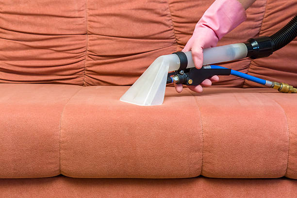istock Sofa chemical cleaning with professionally extraction method. Upholstered furniture. 590610138