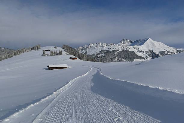 sonho de inverno - bernese oberland gstaad winter snow imagens e fotografias de stock