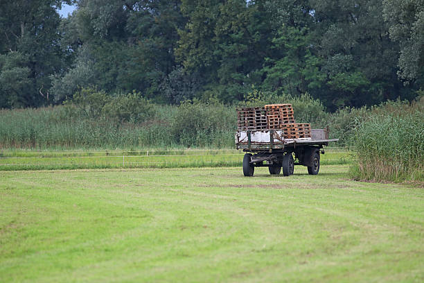 istock Agricutural flatbed trailer full of palets in a field 590612140