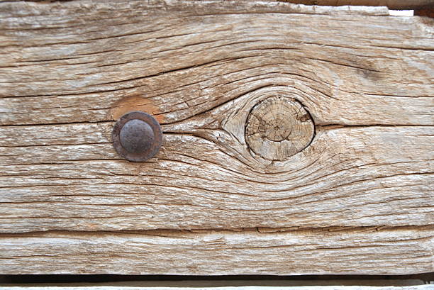 istock Old, vintage, wood with metal rivets. Background. 590612982