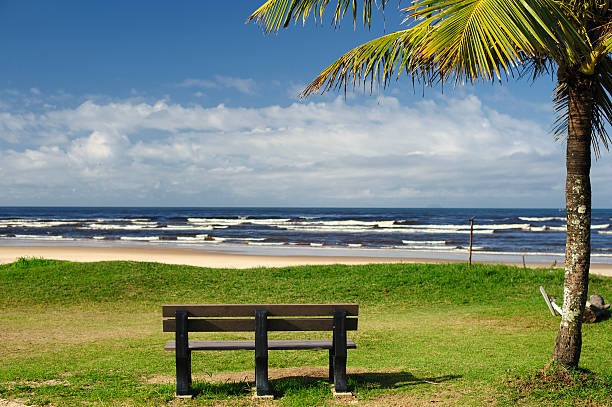 istock Bench and Skyline in Brazil 590614132