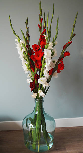 istock Bouquet of gladiolus in a vase 590616040