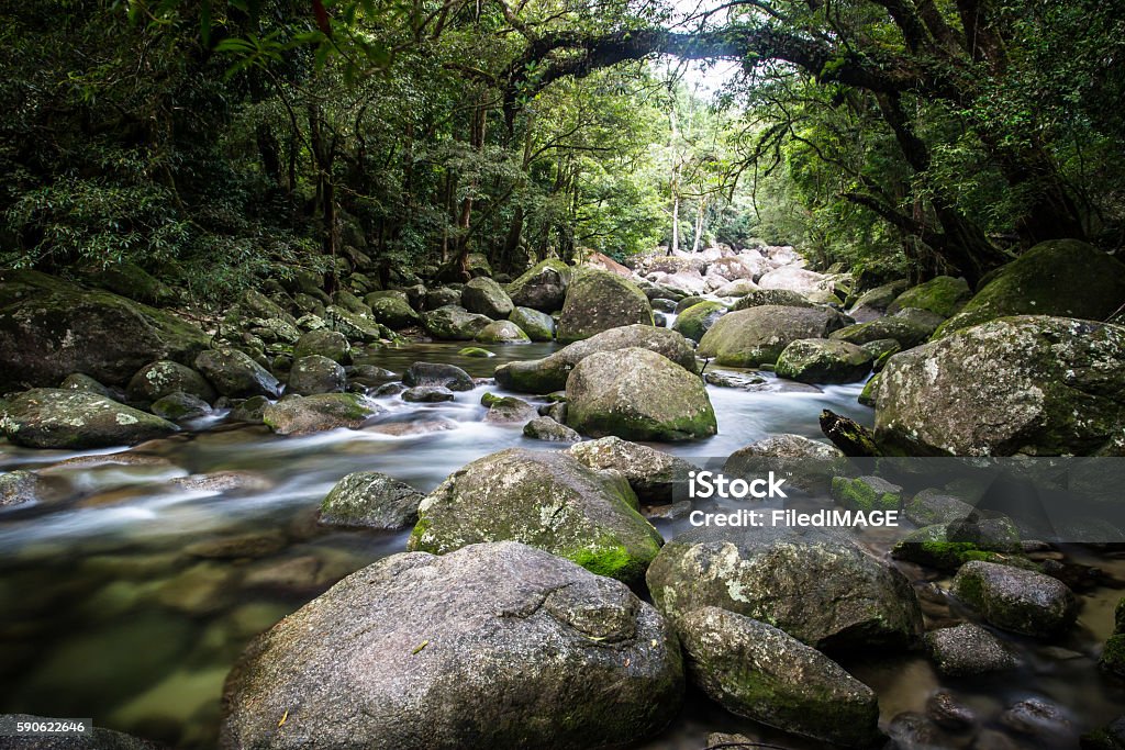 Mossman Gorge Rapids Water of the Mossman River flows over ancient rocks and boulders in Mossman Gorge, Queensland, Australia Mossman Gorge Stock Photo