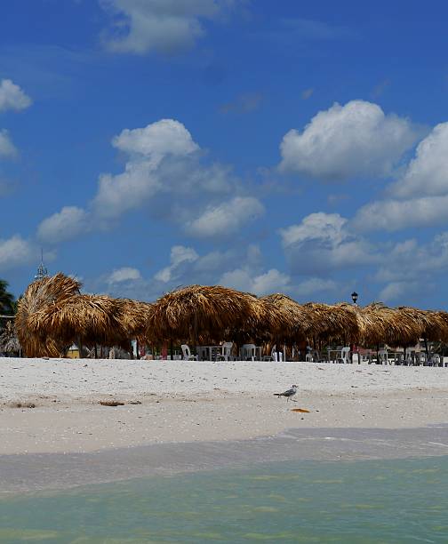 istock beach and ocean panoramic summer holiday  Mexico 590623306