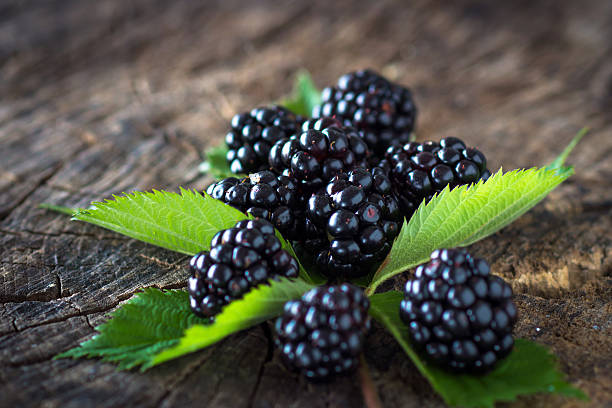istock Blackberries on a wooden background 590625356