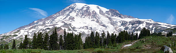 istock Top of Mount Rainier 590626600
